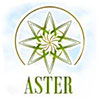 Логотип компании Aster